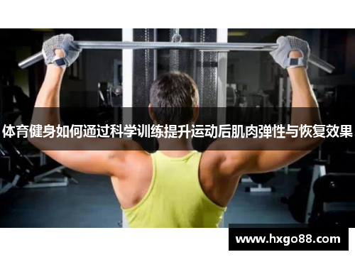 体育健身如何通过科学训练提升运动后肌肉弹性与恢复效果