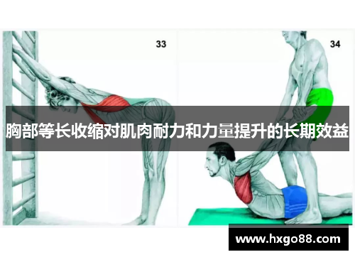 胸部等长收缩对肌肉耐力和力量提升的长期效益